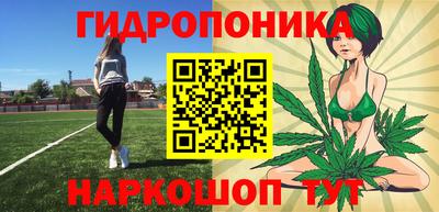 сатива Обь