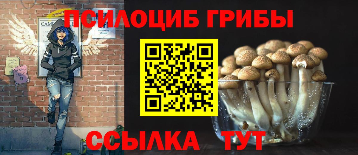 наркота  Вход с VPN  Благодарный  Псилоцибиновые грибы MAGIC MUSHROOMS  Псилоцибиновые грибы Psilocybine cubensis 